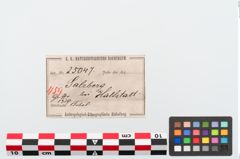 Etiketten zu Bronzezweiknopffibel (NHMW-PRAE-025047)